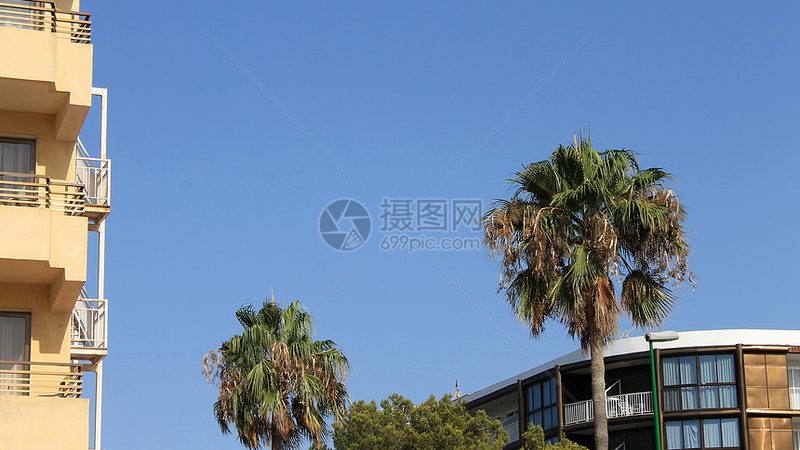 成都旅行社一日游报价背后的秘密
